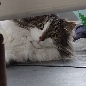 Welcome to my closet! My assistant TC